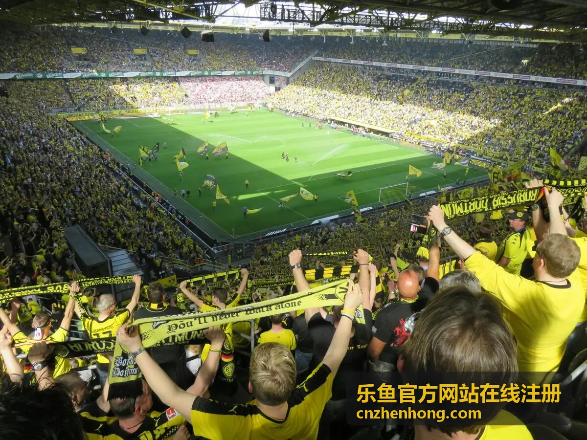 乐鱼官方网站在线注册剧集《青春纪事》