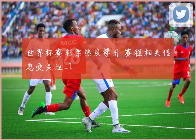 世界杯赛彩票热度攀升 赛程相关信息受关注_1
