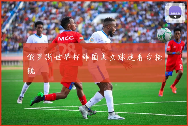 俄罗斯世界杯韩国美女球迷看台抢镜