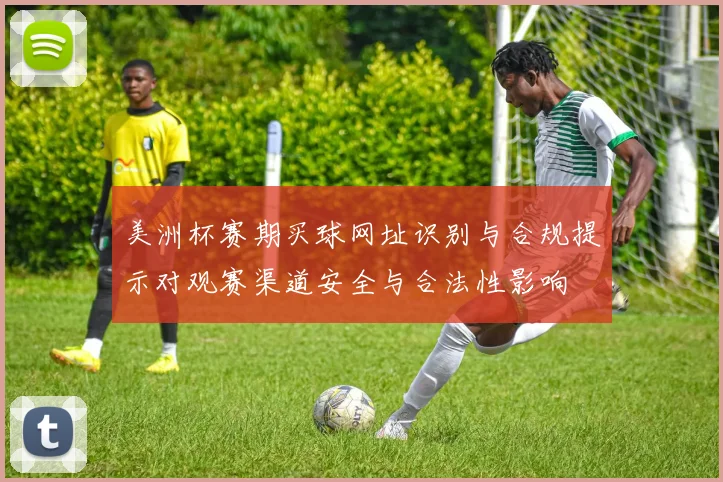 美洲杯赛期买球网址识别与合规提示对观赛渠道安全与合法性影响